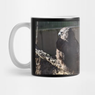 Hawk Mug